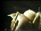 RobertaP_1835.jpg